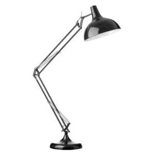 Coldin Metal Adjustable Study Floor Lamp In Black