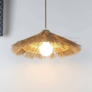Lightsin Creative Handcrafted Bamboo Straw Hat Retro Decor Pendant Light Series
