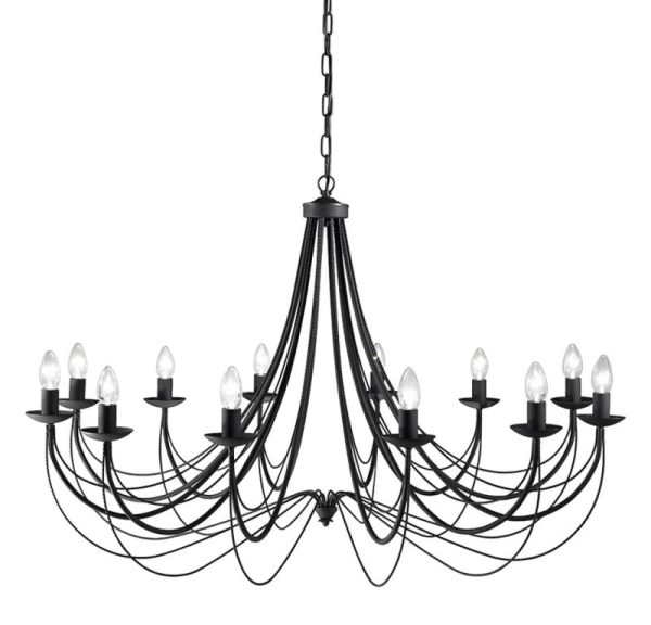 Philly 12 Light Ceiling Chandelier In Satin Black Finish FL2173/12