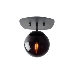Walden Metal Ceiling Light in Black